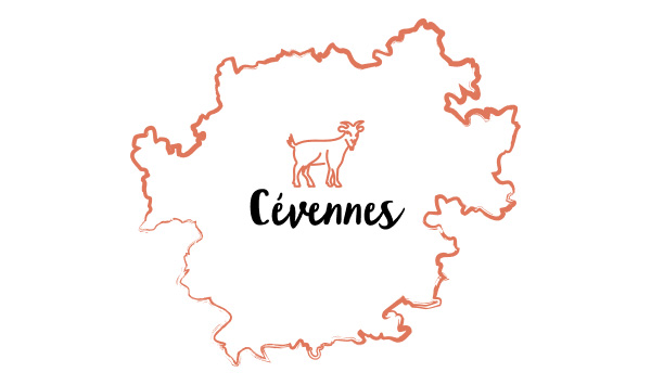 Le meilleur des Cévennes