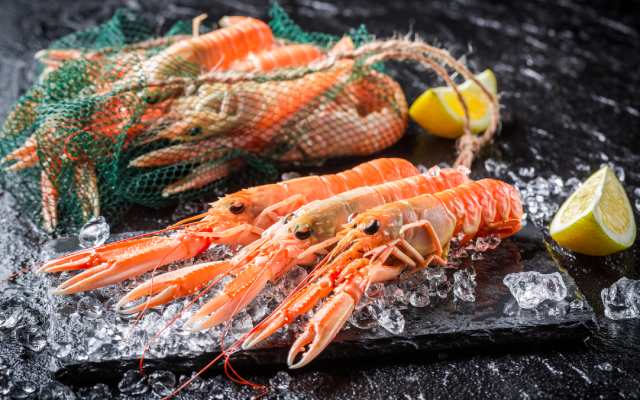 Langoustines