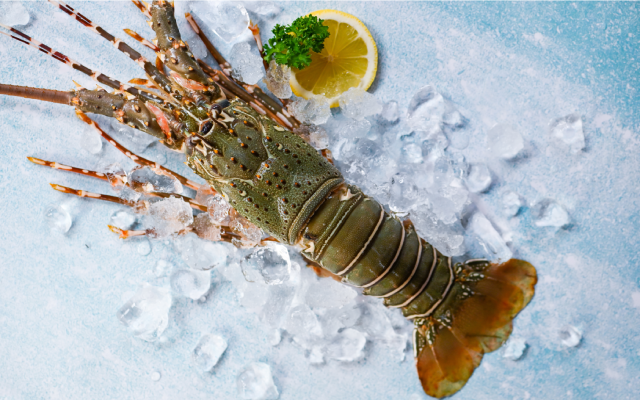 Langouste