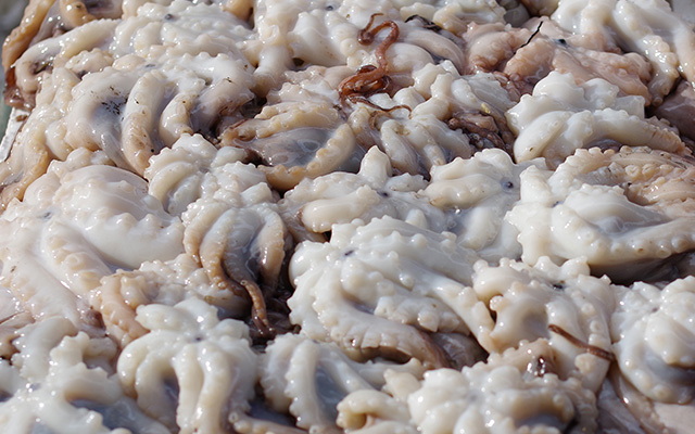Calamars