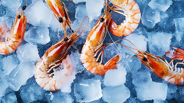Les fruits de mer, mode d’emploi