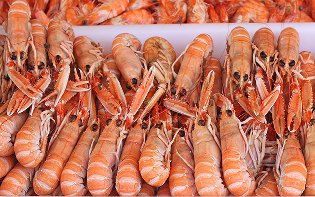 Langoustines