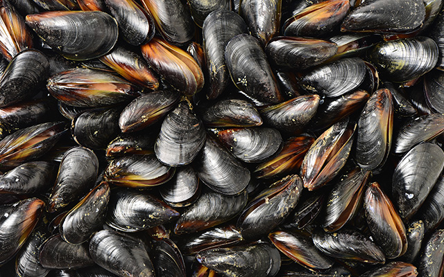 Moules
