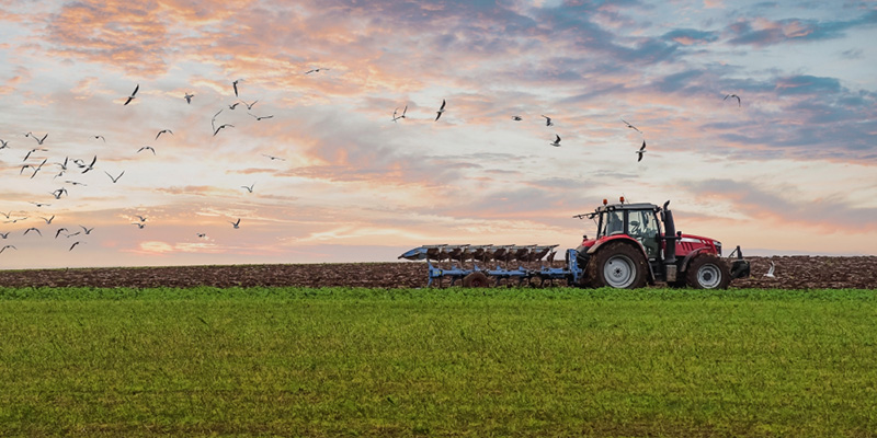 Nos actions locales en faveur de l'environnement