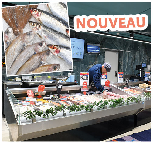 Au rayon POISSONNERIE