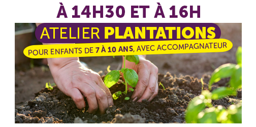Atelier plantations