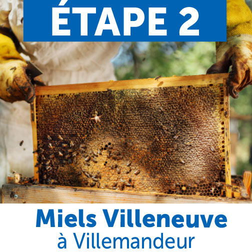 Miels Villeneuve à Villemandeur
