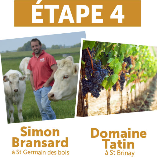 Simon Bransard et Domaine Tatin