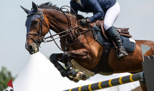 Club hippique