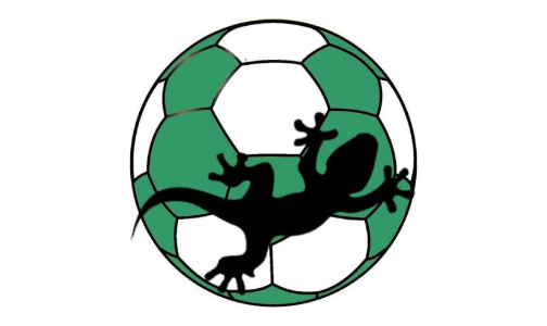 Handball Châteauneuf-sur-Loire