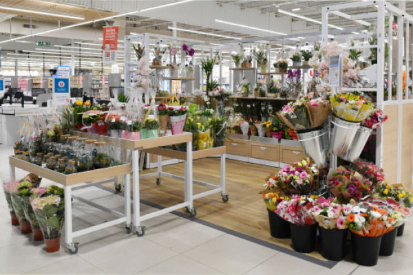 Les fleurs et plantes