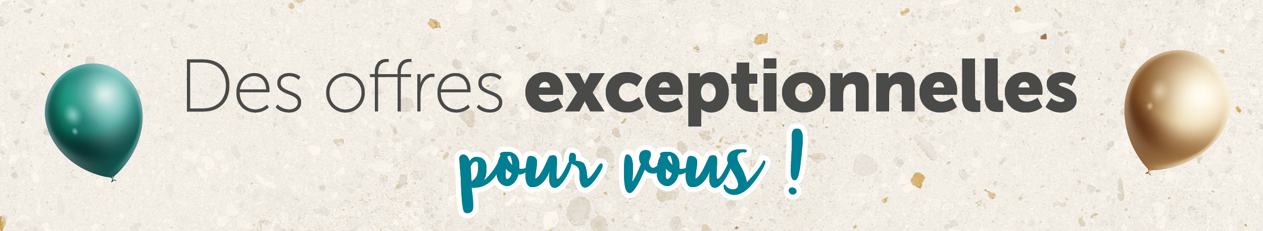 Des offres exceptionnelles pour vous !