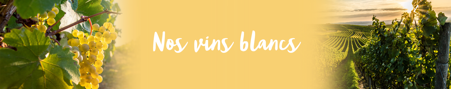 Notre sélection de vins blancs