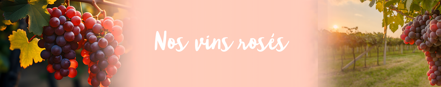 Notre sélection de vins rosés