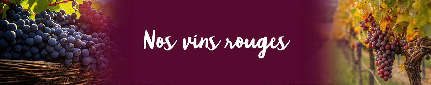Notre sélection de vins rouges