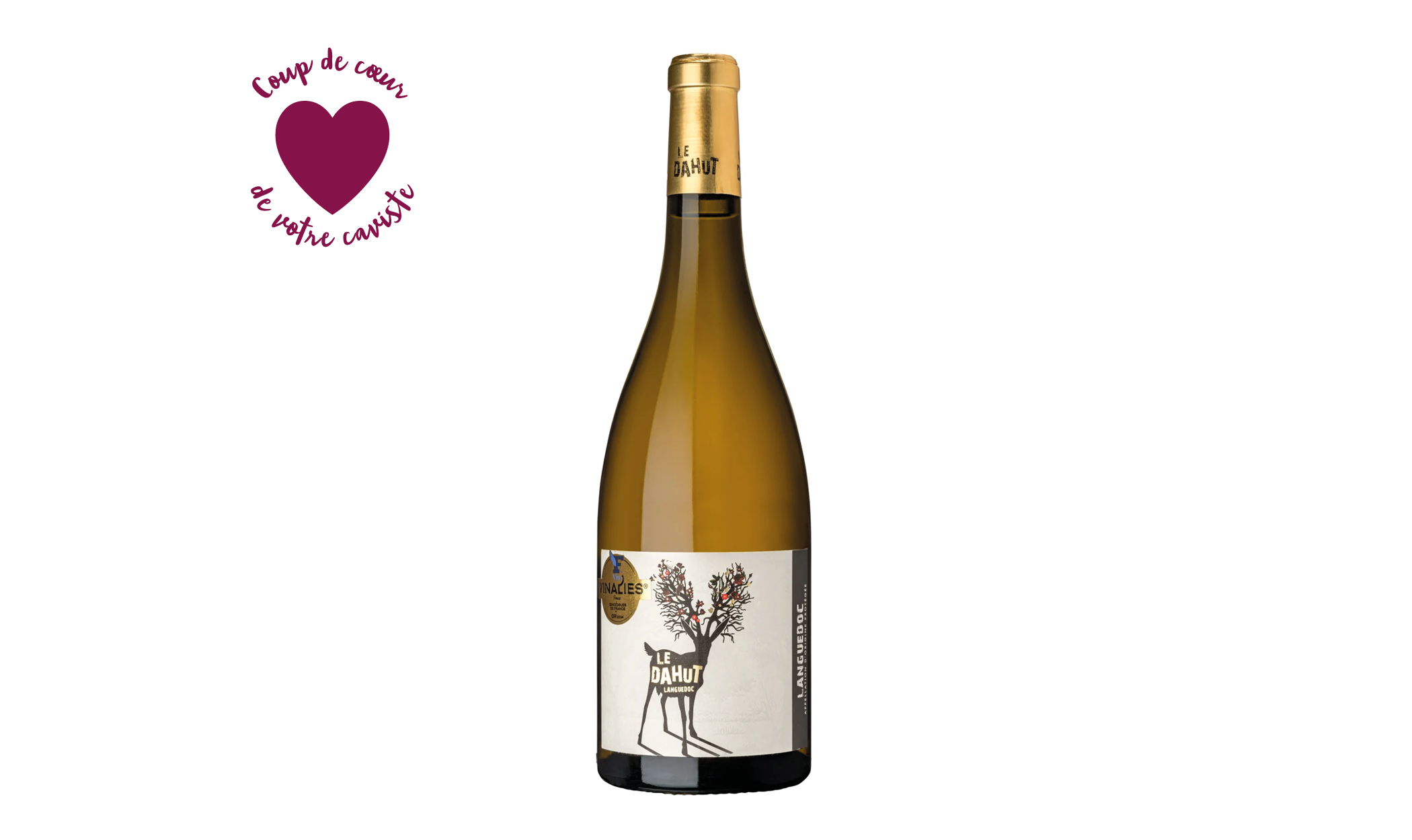 Languedoc – Le Dahut