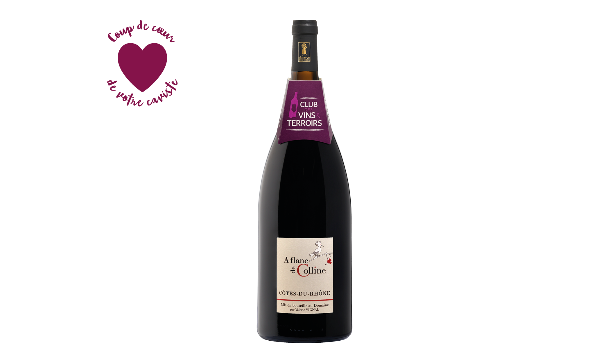 Côtes du Rhône - Domaine Vignal
