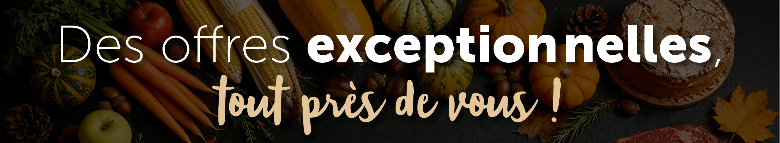 Des offres exceptionnelles tout près de vous !