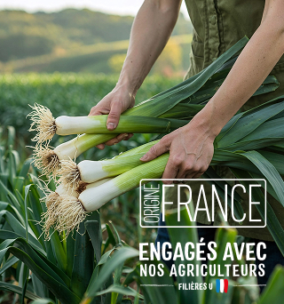 Picto filière ancrée