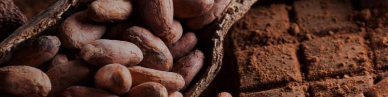 Fève cacao et tablettes