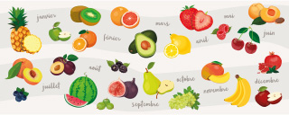 Tableau des saisons de fruits