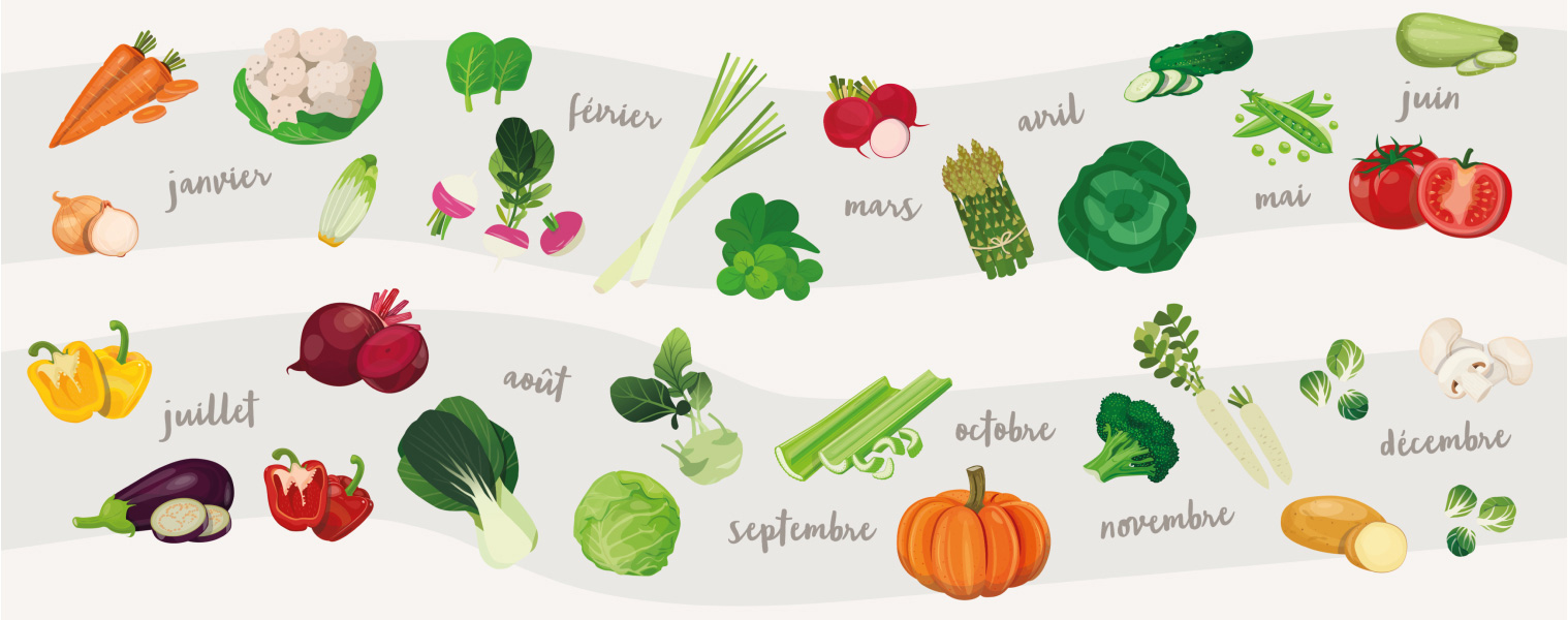 Tableau des saisons de légumes