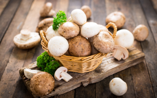 Le champignon de Paris