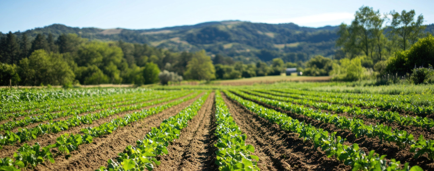 Soutenir les démarches d’agro-écologie