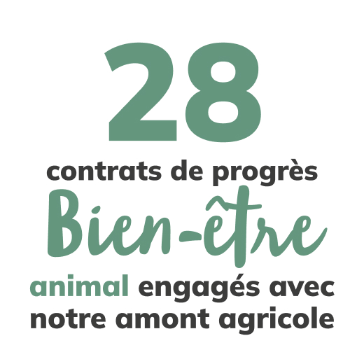 28 contrats de progrès Bien-être animal engagés avec notre amont agricole