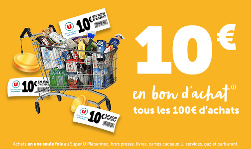 Offre 10€ dès 100€ d'achats
