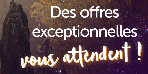 Des offres exceptionnelles vous attendent !