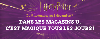 Grand jeu Harry Potter