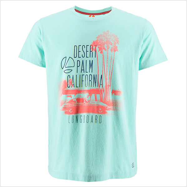 Tee-shirt homme en jersey coloris assortis