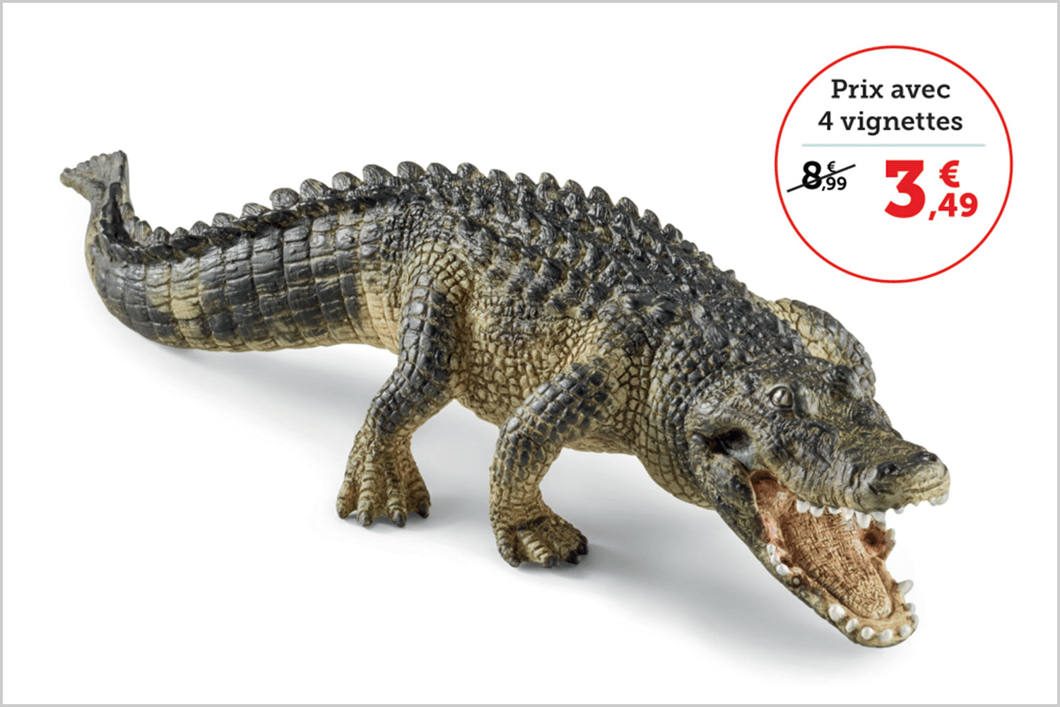 L'alligator