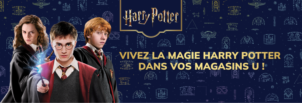 Vivez la magie Harry Potter